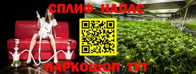 mdpv Коммунар