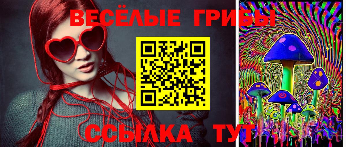Галлюциногенные грибы Psilocybine cubensis Усть-Илимск